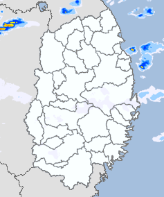 高解像度ナウキャスト